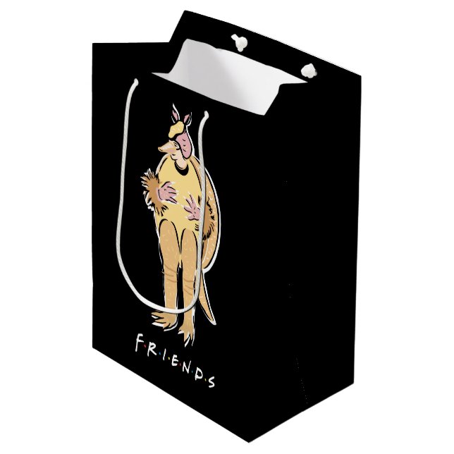 FRIENDS™ | Holiday Armadillo Medium Gift Bag (Front Angled)