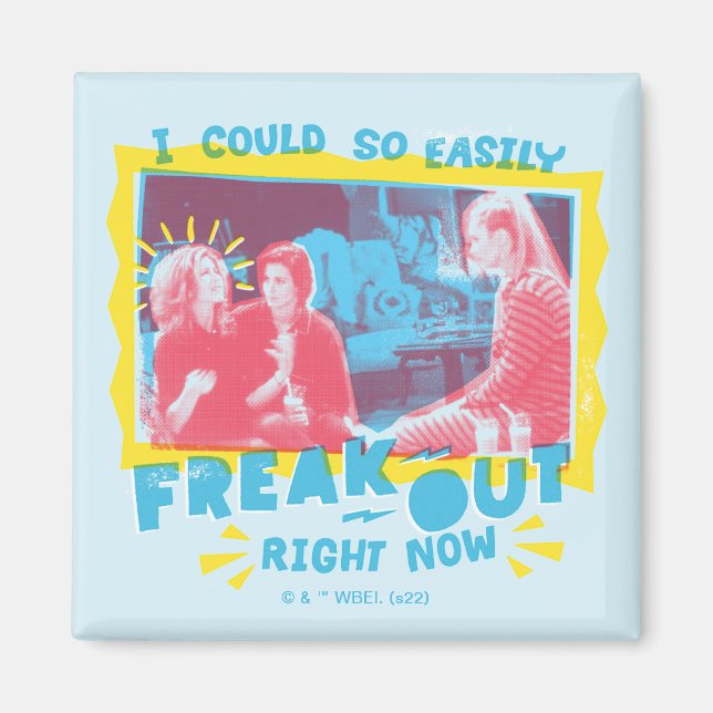 FRIENDS™ | I Could So Easily Freak Out Right Now Magnet (Front)