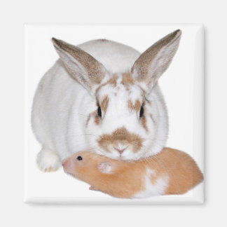 Friends Magnet
