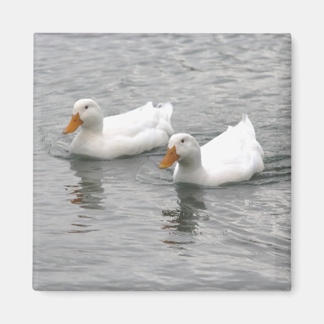 Friends Magnet (Front)