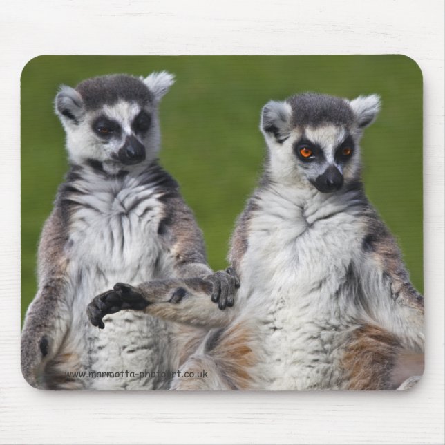 Friends Mousemat (Front)