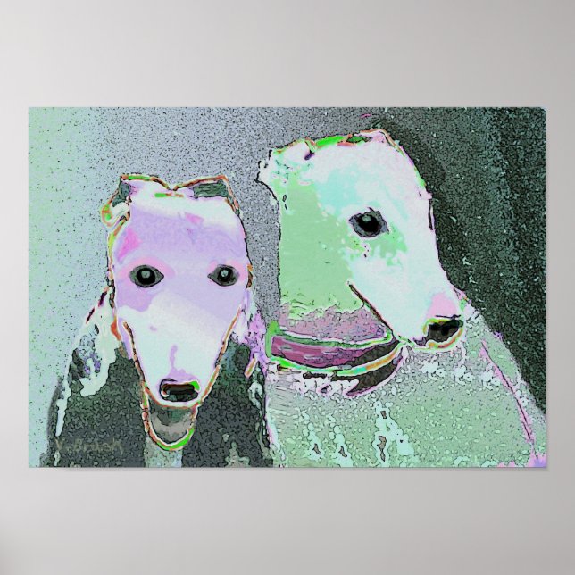 "Friends of a different colour"   Poster (Front)