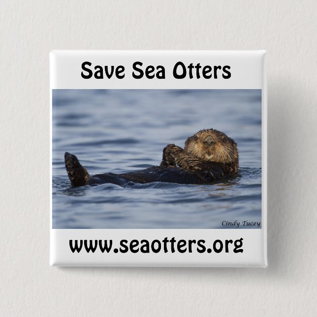 Friends of the Sea Otter Button (Front)