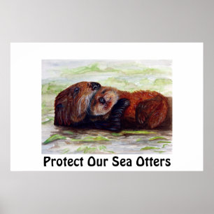 Friends of the Sea Otter Poster
