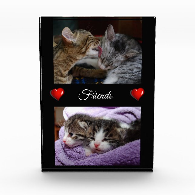 Friends Photo Block (Front)