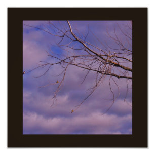 Friends Photo Print