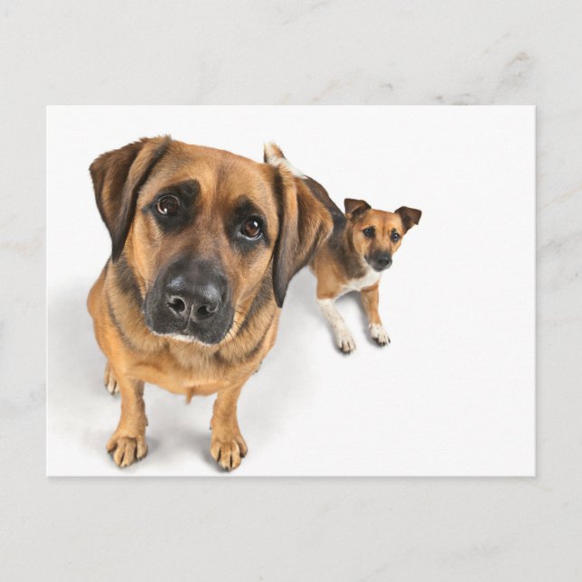 friends postcard (Front)