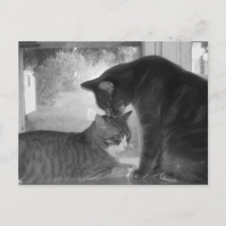 Friends Postcard