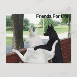 friends postcard