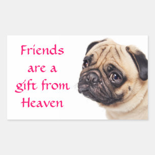 Friends Pug Puppy Dog Greeting Stickers