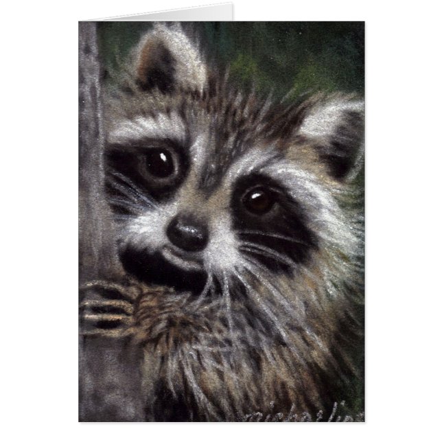 Friends? Racoon Card (Front)