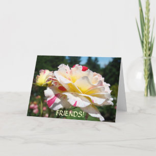 FRIENDS! ROSE CHRISTMAS CARDS Birthdays Card