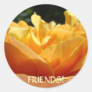 FRIENDS Rose Flowers STICKERS Friendship Gifts
