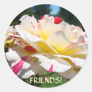 FRIENDS! ROSE STICKERS Gifts Roses Floral Stickers