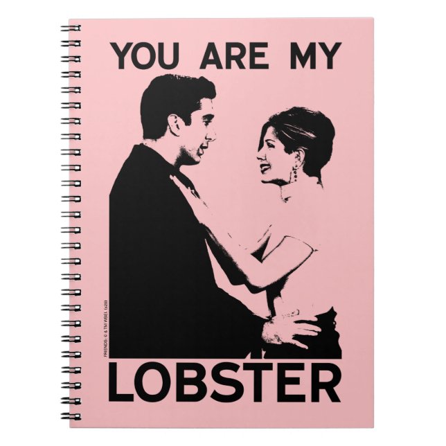 FRIENDS™ | Ross & Rachel - You Are My Lobster Notebook (Front)