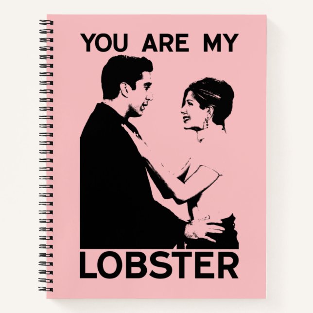 FRIENDS™ | Ross & Rachel - You Are My Lobster Notebook (Front)