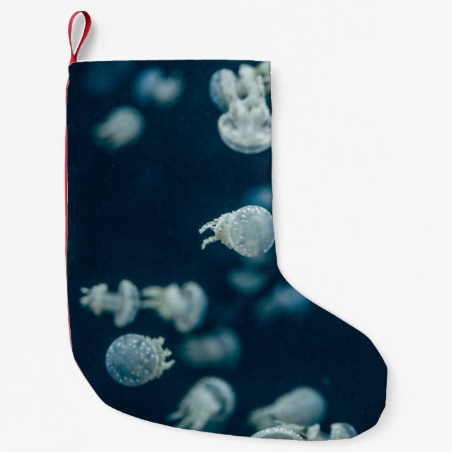 FRIENDS SMALL CHRISTMAS STOCKING (Front)