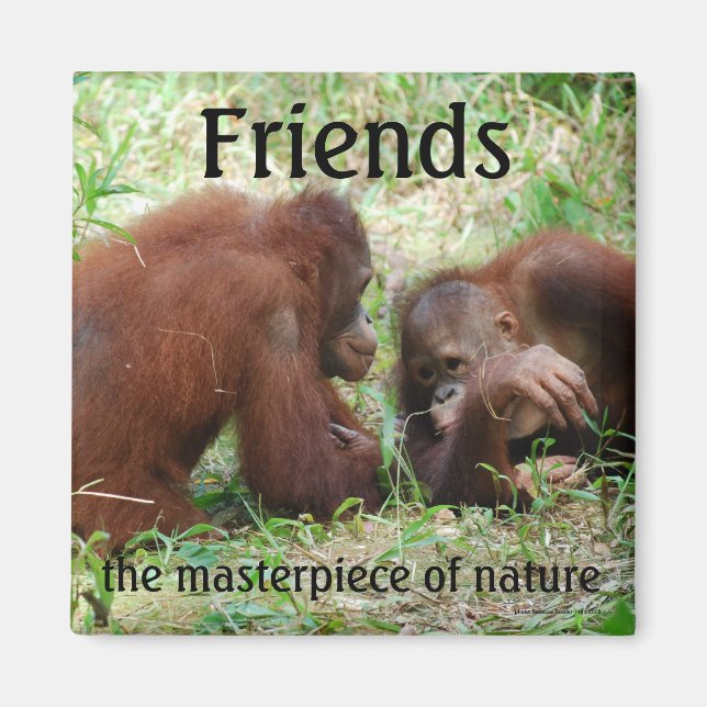 Friends square magnet (Front)