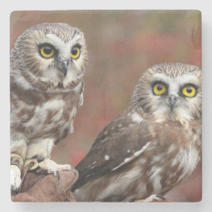 Friends Stone Coaster