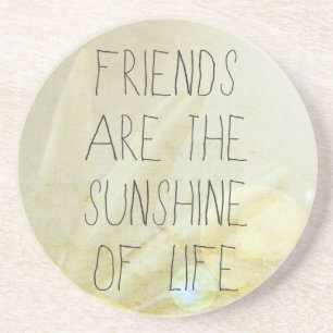 Friends & Sunshine Coaster