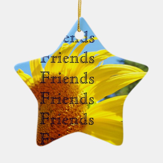 Friends Thank You Wonderful Friend Ornament gifts (Front)