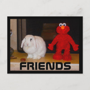 Friends -Thanks for Being There for Me Postcard