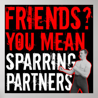Friends? You mean sparring partners MMA Poster