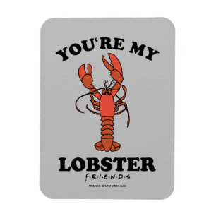 FRIENDS™   You're my Lobster Magnet