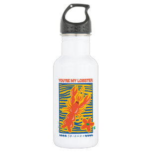 FRIENDS™   You're My Lobster Vibrant Graphic 532 Ml Water Bottle