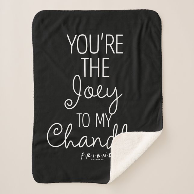 FRIENDS™ | You're the Joey to my Chandler Sherpa Blanket (Front)