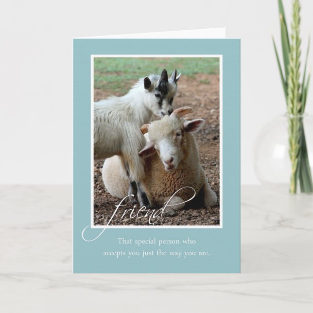Friendship Blank Note Card with Sheep and Goat (Front)
