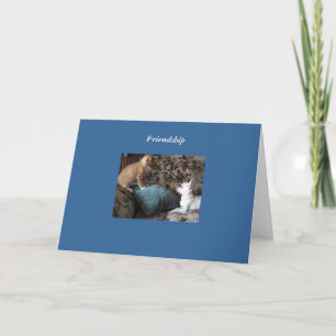 Friendship Card