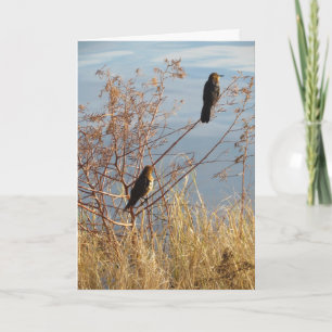 Friendship Card - Backyard Birds - Grackles