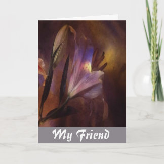 Friendship Cards