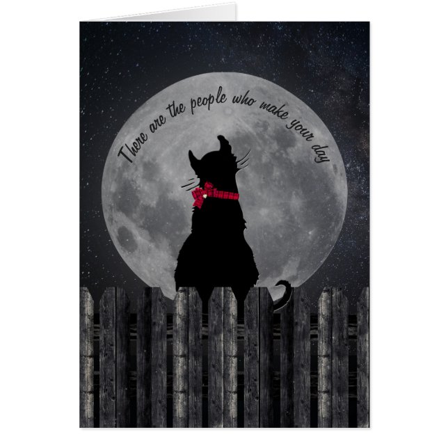 friendship-cat in the moonlight on fence (Front)