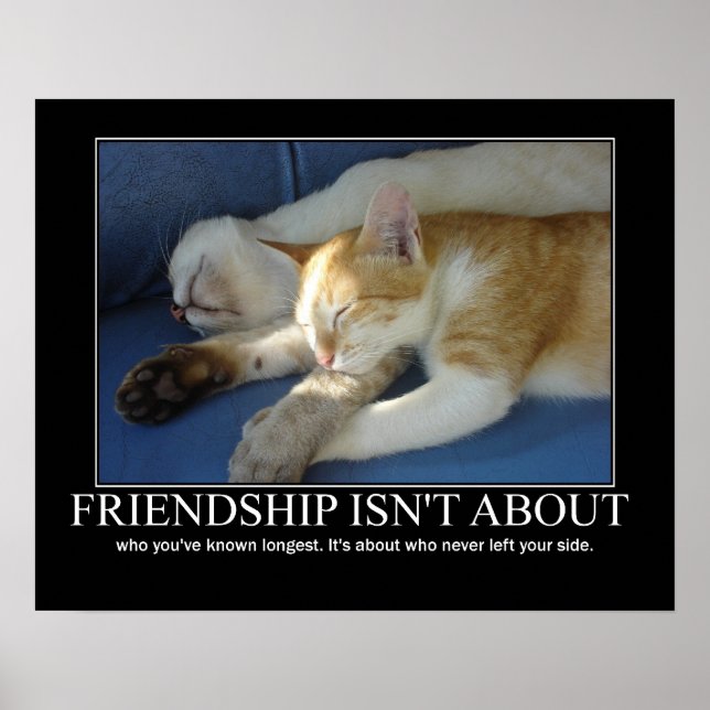 Friendship Cats Love Artwork Inspirational Poster (Front)