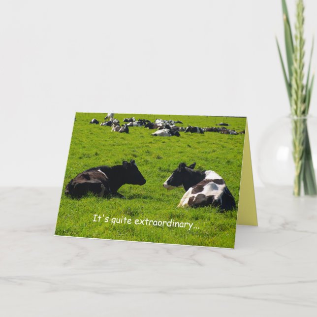 Friendship, country scene, farm scene, funny, cows card (Front)
