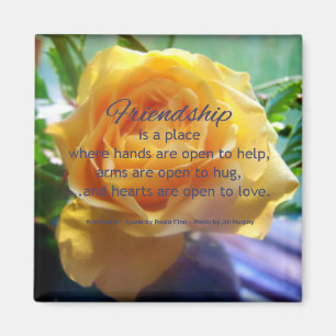 Friendship is a place...Friendship quote Magnet