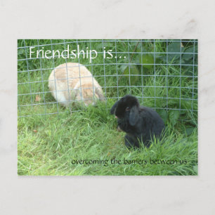 Friendship is..., overcoming the barriers between postcard