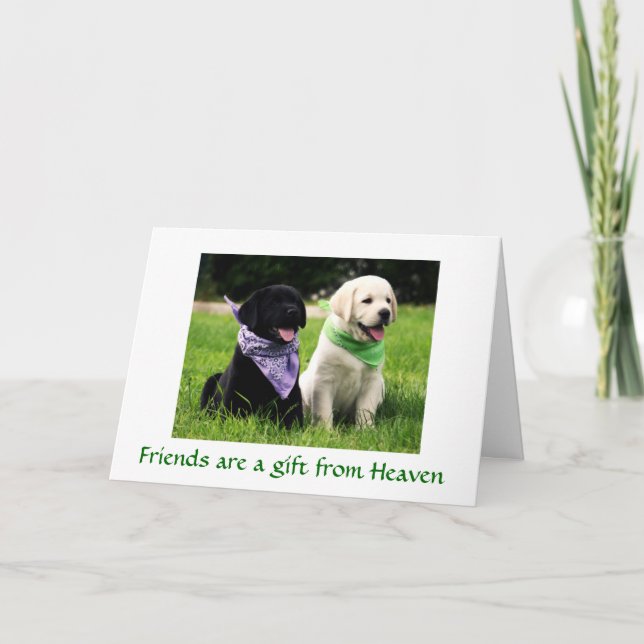 Friendship Labrador Retriever Puppies Card (Front)