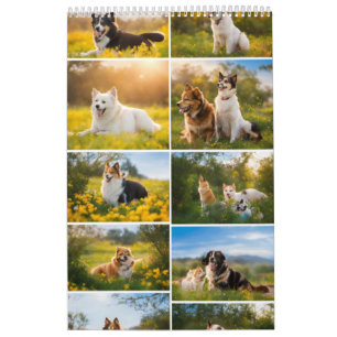 "Friendship Magic: Photo Calendar" Calendar
