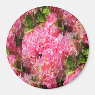 Friendship... Magnet