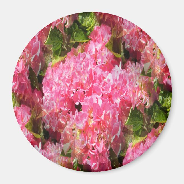 Friendship... Magnet (Front)