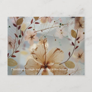 Friendship Petal Postcard
