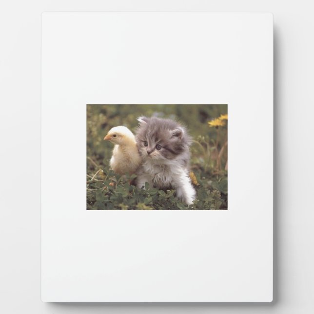 Friendship Plaque (Front)