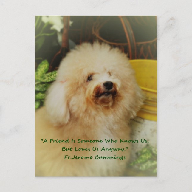 Friendship Postcard (Front)