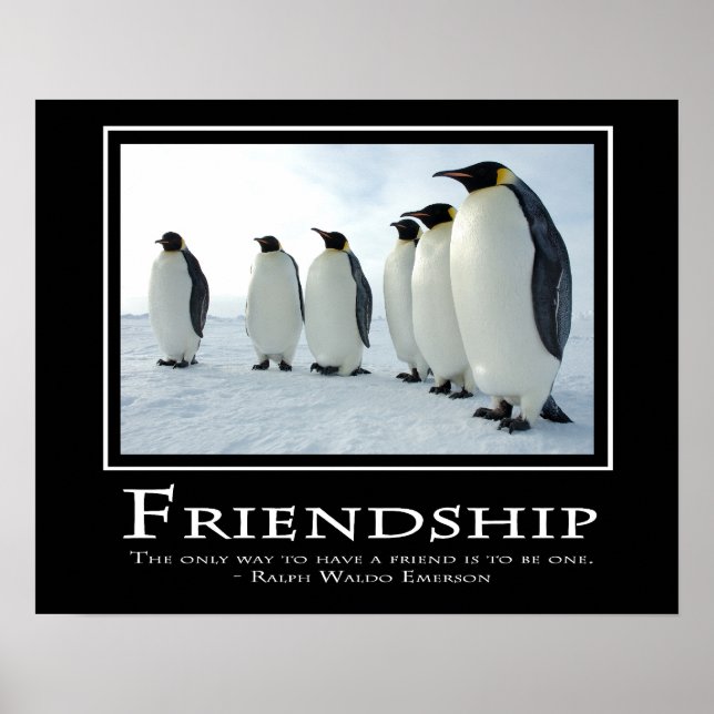 Friendship Poster (Front)