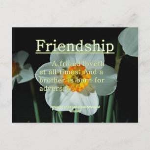 Friendship Proverbs 17:17 Postcard