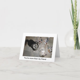 Friendship puppy humour card