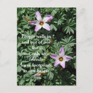 Friendship - Purple flowers Postcard